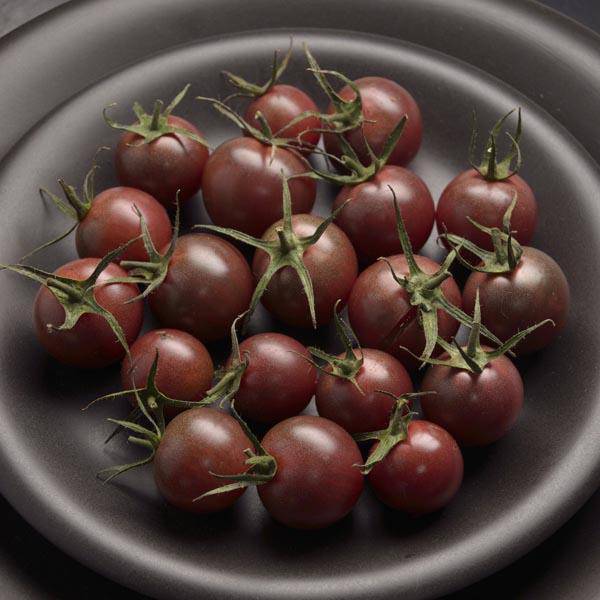 farm hand seeds Chocolate Cherry Tomato