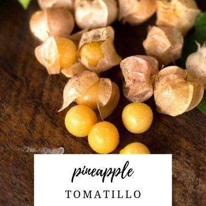 Farm Hand Seeds Pineapple Tomatillo