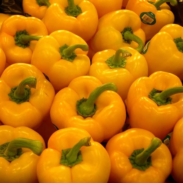Farm.hand.seeds GOLDEN CA. WONDER SWEET PEPPER