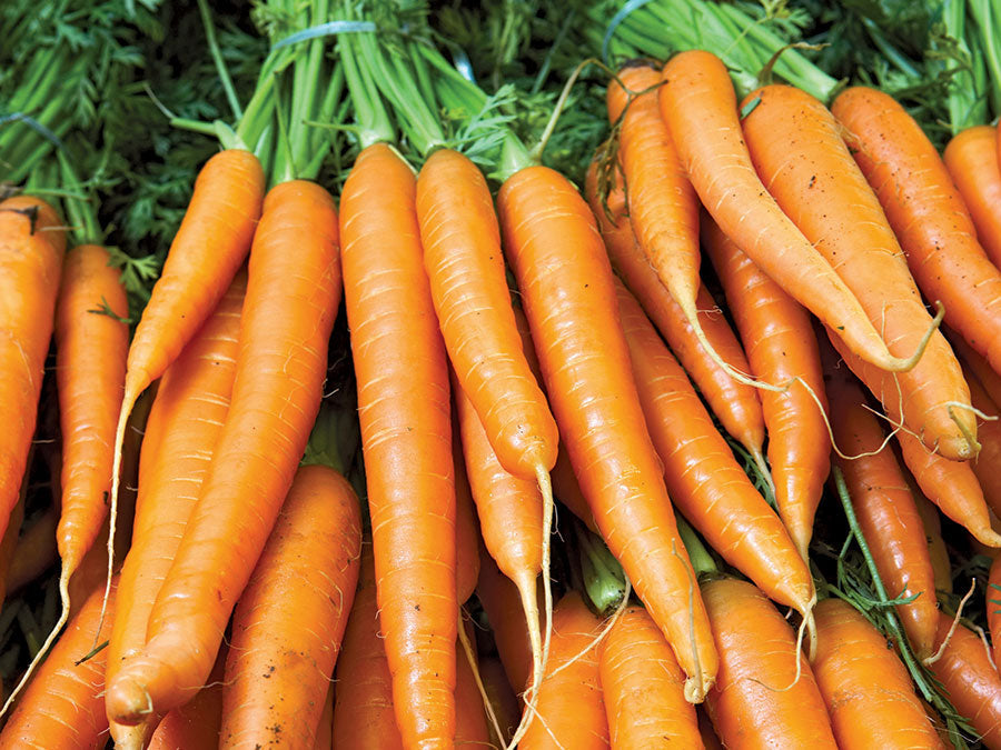 farm hand seeds Carrot assortment