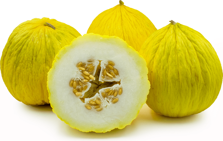 Farm.hand.seeds Casaba Melon (Yellow)