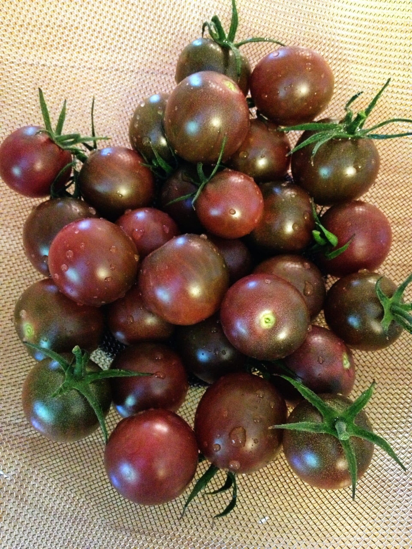 farm hand seeds Chocolate Cherry Tomato