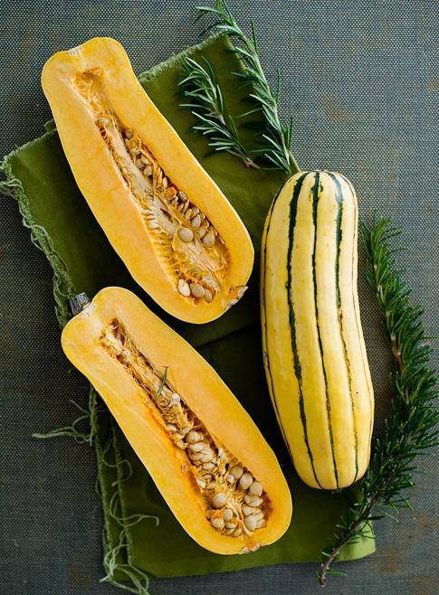 Farm.hand.seeds Delicata winter squash