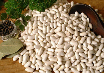Farm.hand.seeds Great northern beans