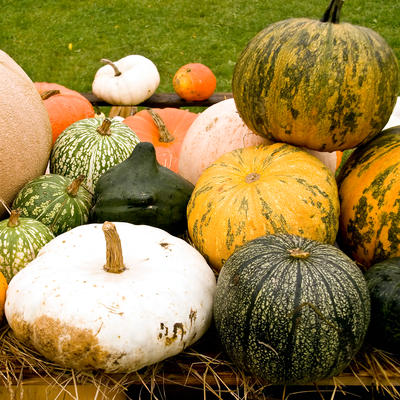 Farm.hand.seeds Farm hand gift cards