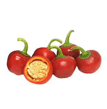 farm hand seeds Red cherry hot peppers
