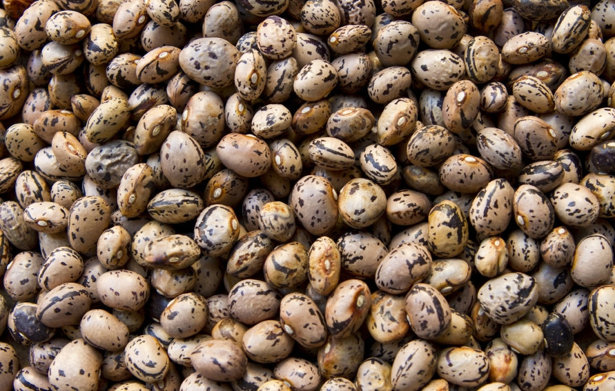 Farm.hand.seeds Italian borlotti lamon beans