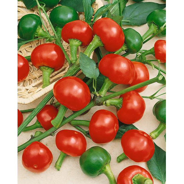 farm hand seeds Red cherry hot peppers