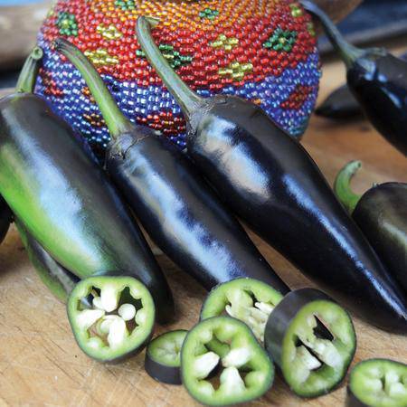 Farm.hand.seeds Purple Jalapeno