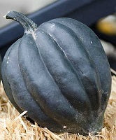Farm.hand.seeds Ebony acorn squash