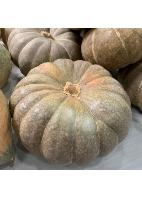 Farm.hand.seeds Strawberry crown winter squash