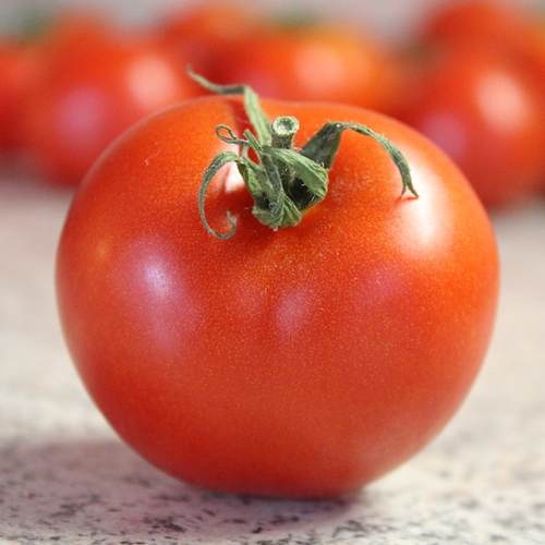 farm hand seeds Bradley heirloom tomato