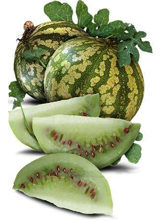 Farm.hand.seeds Red Seeded Citron Watermelon
