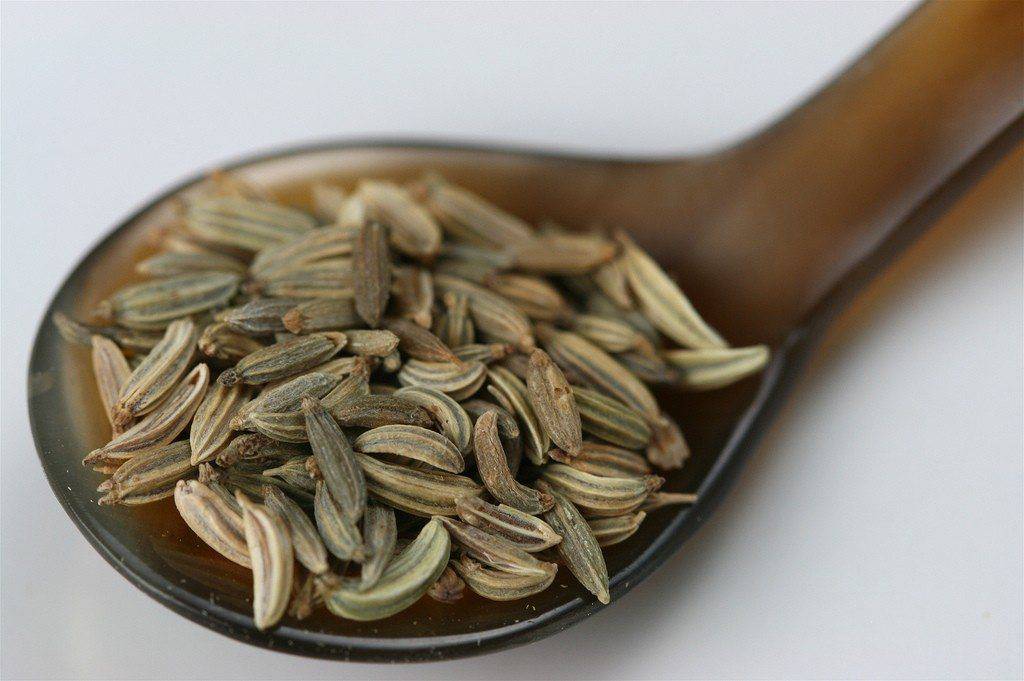 Farm Hand Seeds Caraway