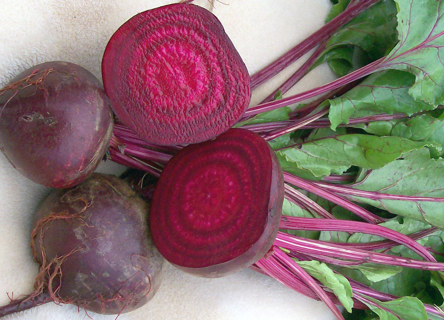 farm hand seeds Crosby's egyptian beet