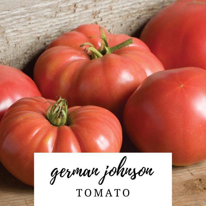 farm hand seeds German Johnson Heirloom Tomato