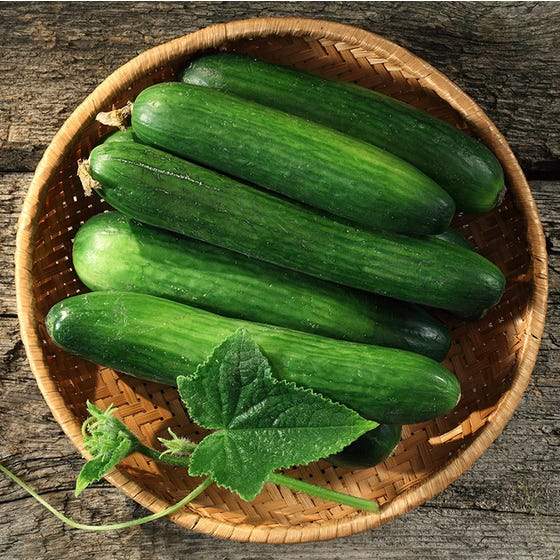 Farm.hand.seeds Long Green Improved Heirloom Cucumber