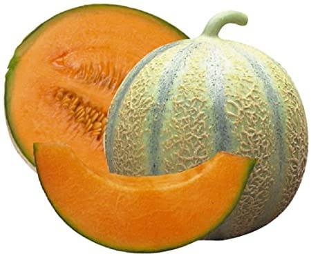 Farm Hand Seeds Charentais Melon