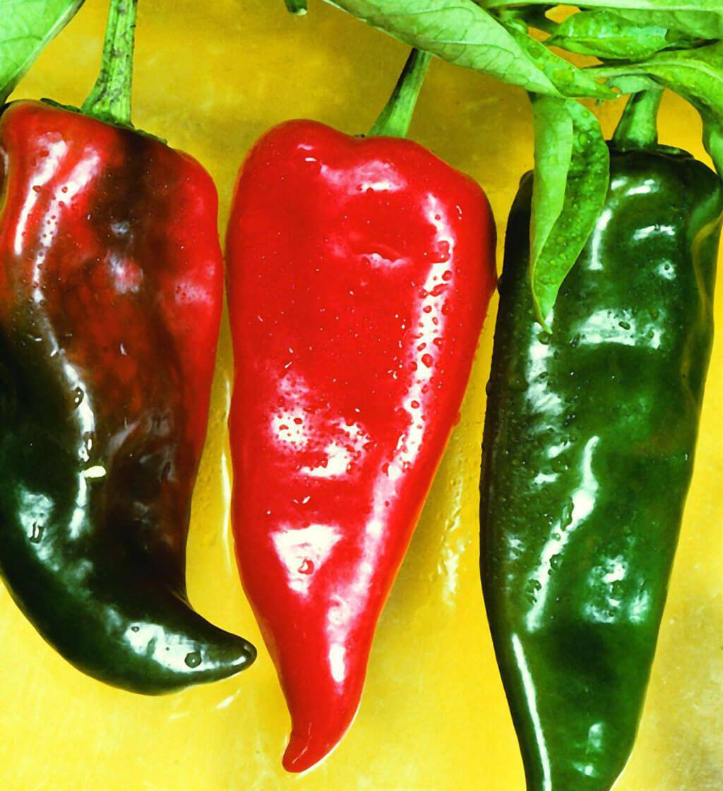 Farm Hand Seeds Anaheim Chili Hot Pepper
