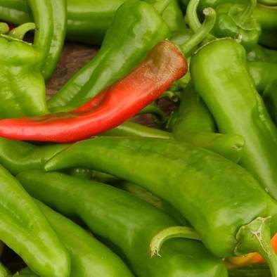 Farm Hand Seeds Anaheim Chili Hot Pepper