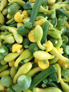 farm hand seeds Premium Summer Squash Mix