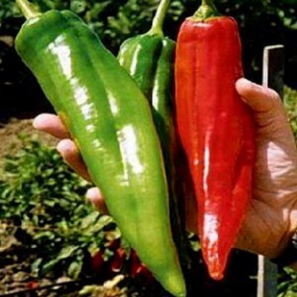 Farm.hand.seeds Big Jim Hot Pepper