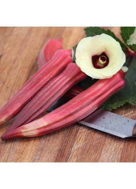 Farm.hand.seeds Jing Orange Okra