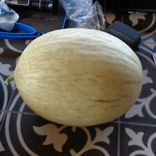 Farm.hand.seeds Branco do ribatejo melon
