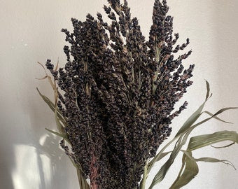 Farm.hand.seeds Black amber broom corn