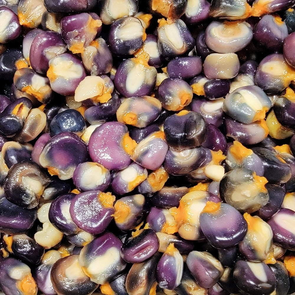 Farm.hand.seeds Purple moredo corn