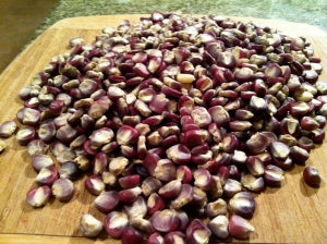 Farm.hand.seeds Purple moredo corn