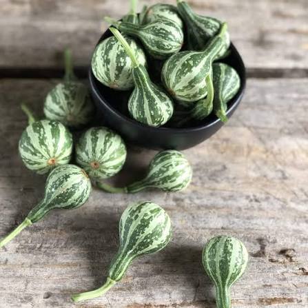 Tennessee Spinning Gourds