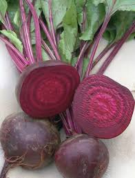 Crosby's egyptian beet