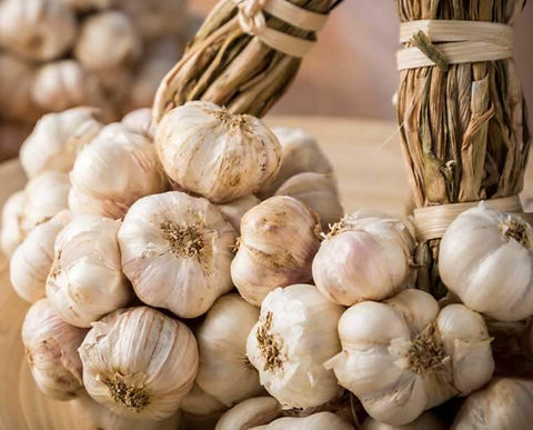 California early garlic