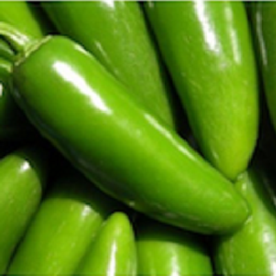 Jalapeño m pepper