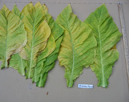Hickory Pryor Tobacco