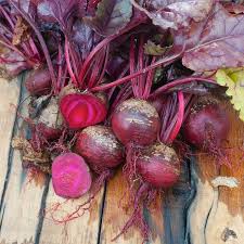 Bulls Blood Beet Heirloom Seed