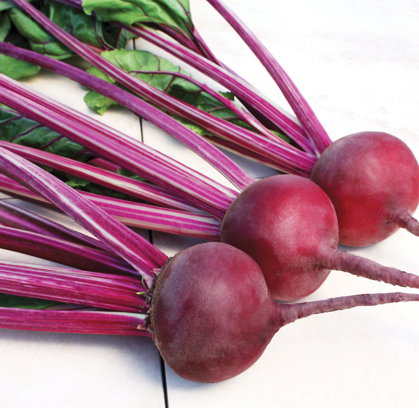 Red Mammoth Mangels