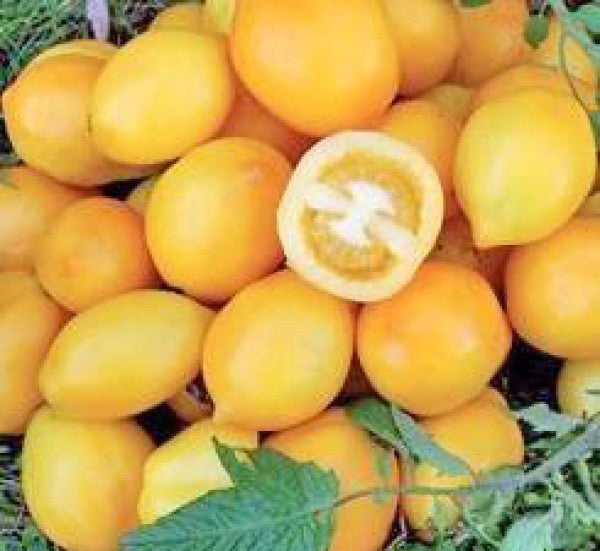 Lemon plum tomato