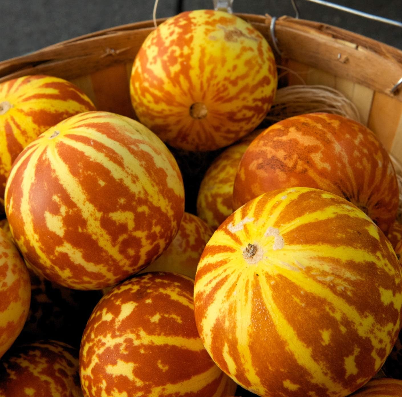 Farm Hand Seeds Tiger Melon