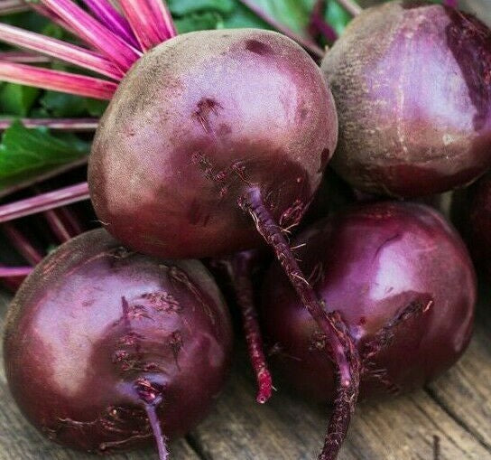 Boltardy beet