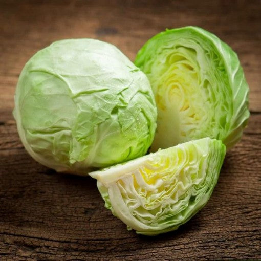 All Seasons Cabbage