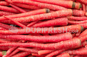 Kyoto red carrot