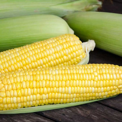Incredible sweet corn
