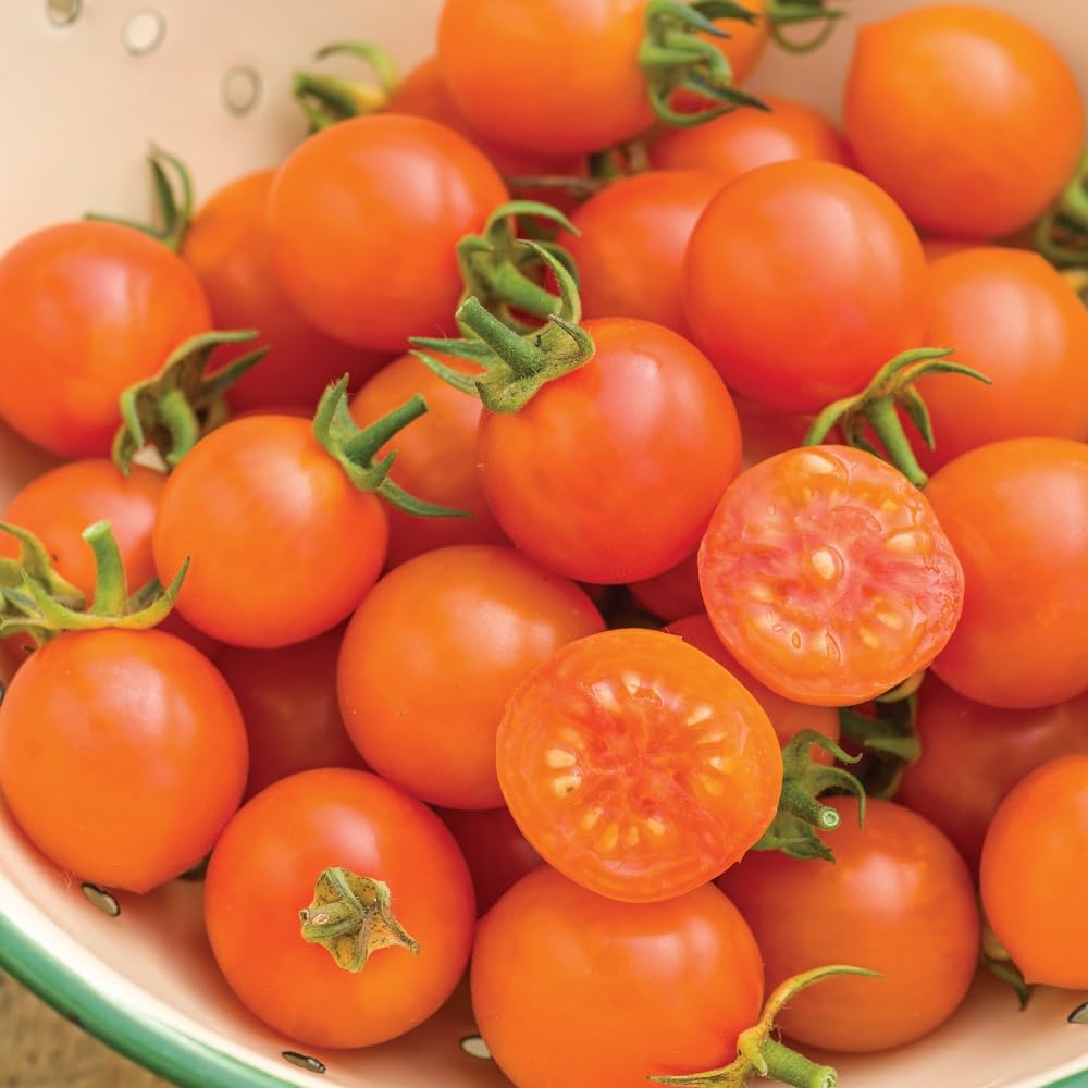 Orange Cherry Tomato