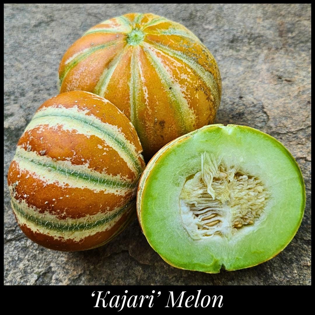 Kajari melon