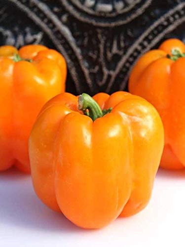 Orange king bell pepper