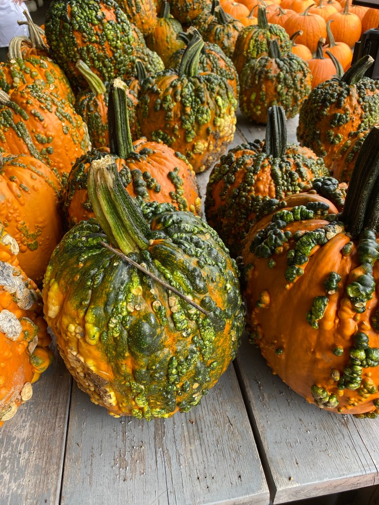 Knucklehead pumpkin