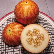 Farm Hand Seeds Tiger Melon
