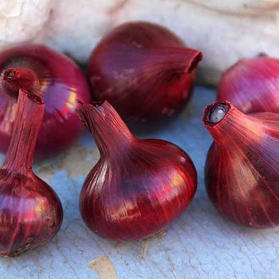Cipollini Red Onions